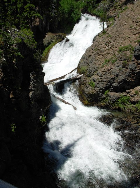 Summer '06 Sunriver 273 